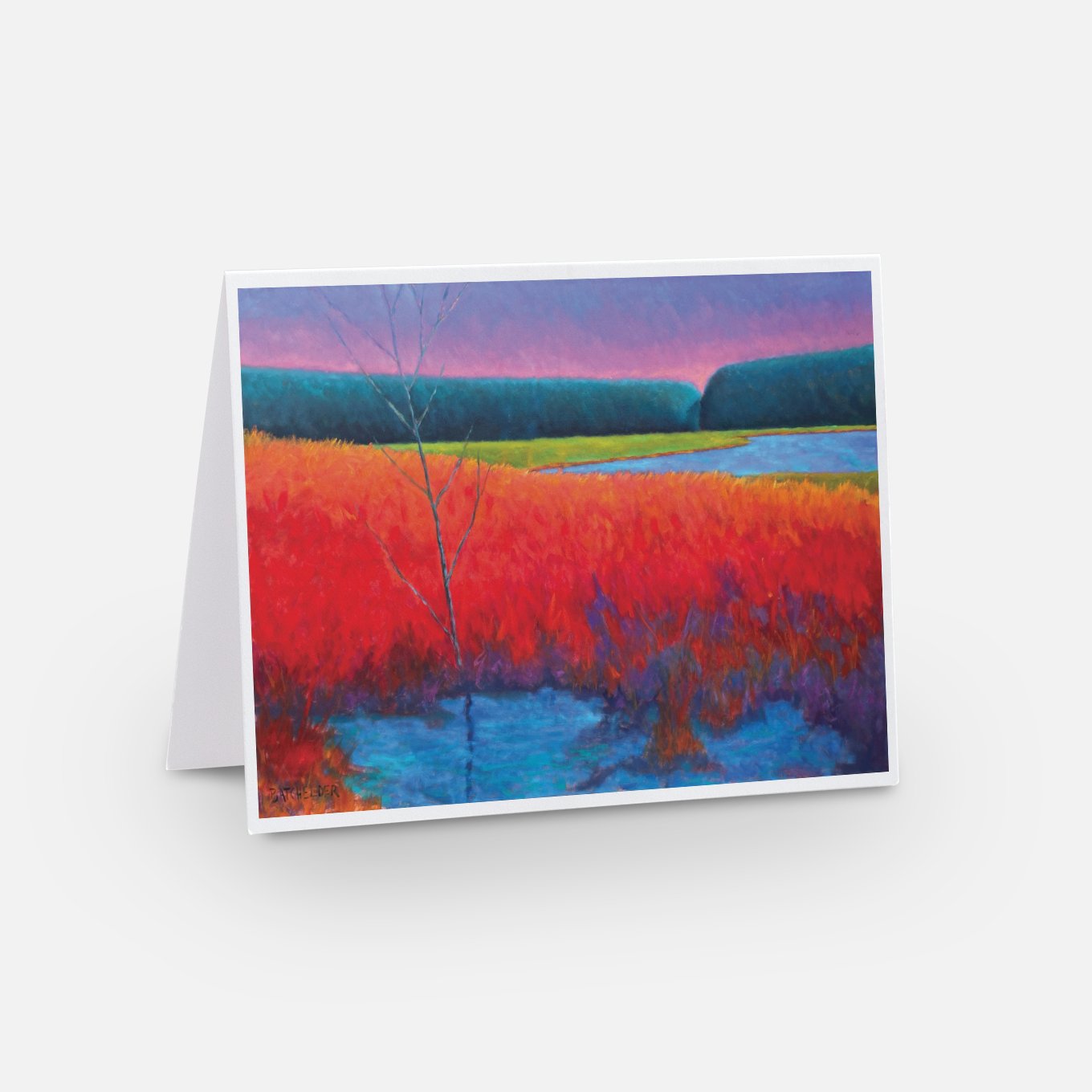 "Wetland" Note Card